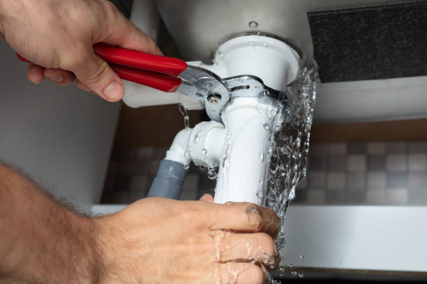 Best Flood damage cleanup  in Shelburne Falls, MA