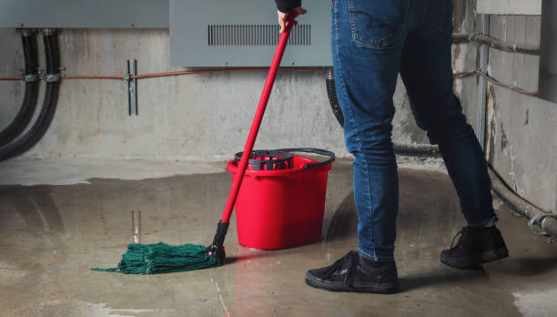 Best Water damage restoration experts  in Shelburne Falls, MA