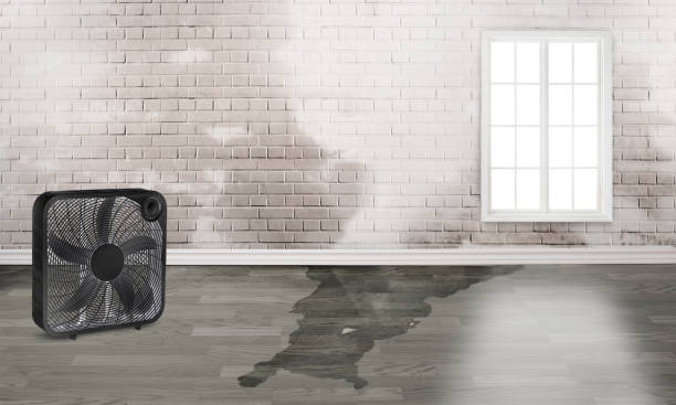Best 24-hour water damage restoration  in Shelburne Falls, MA