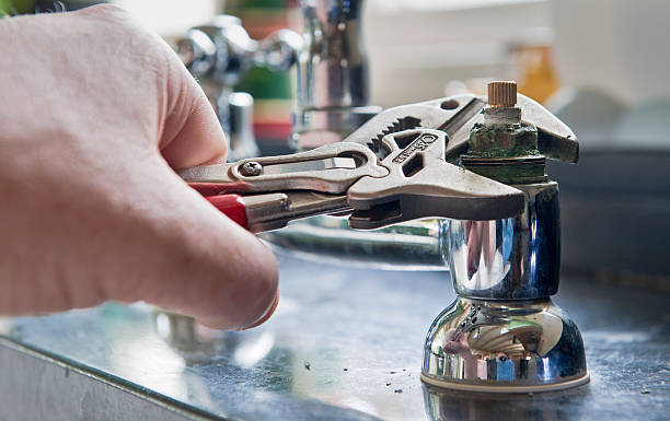 Best Water damage cleanup near me  in Shelburne Falls, MA