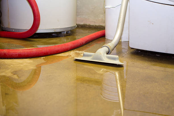 Best Ceiling water damage repair  in Shelburne Falls, MA