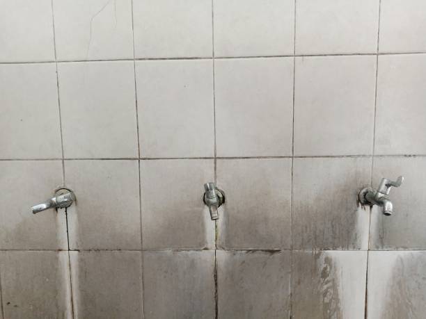 Best Water damage contractors near me  in Shelburne Falls, MA