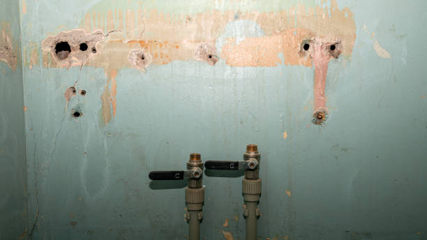 Best Emergency water damage restoration  in Shelburne Falls, MA